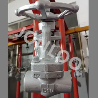A182 F5 Forged Globe Valve 1inch 1500lb SW Ends